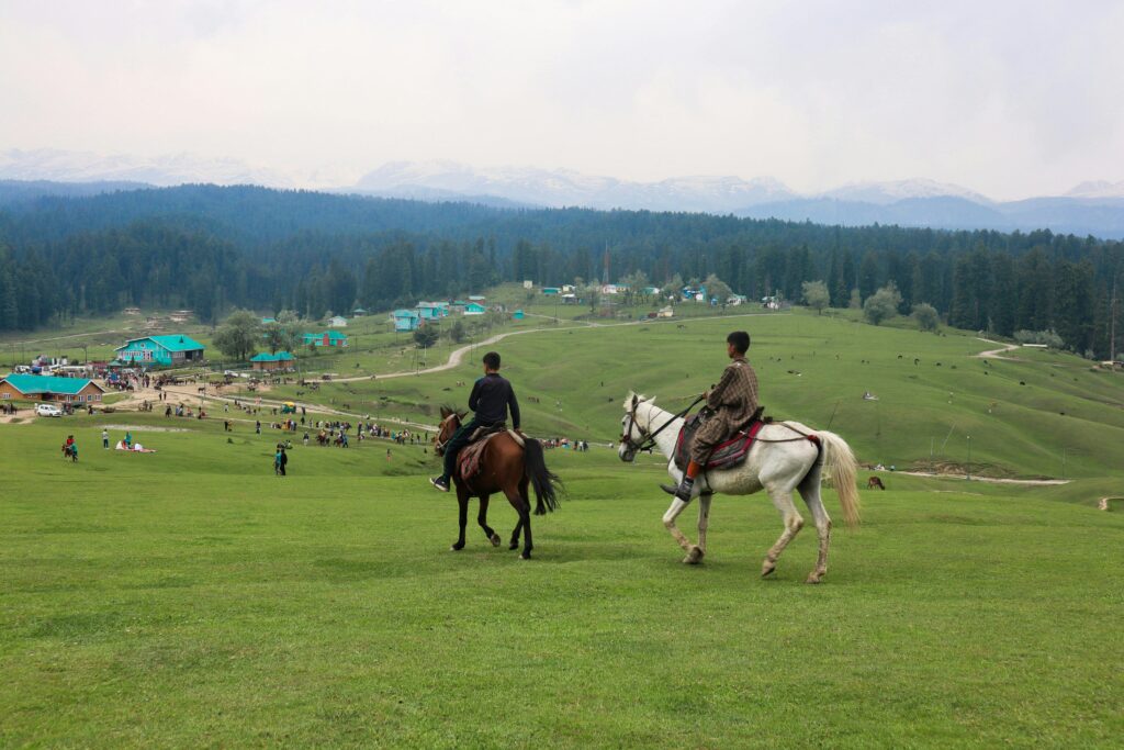 Men Riding Horses in the Grass Field