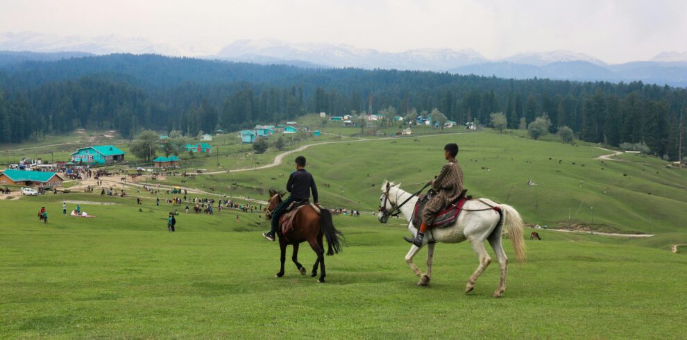 Men Riding Horses in the Grass Field