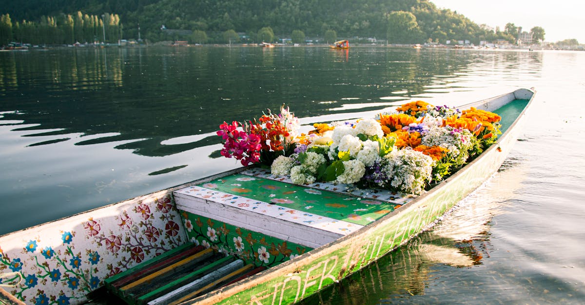 Green Wooden Boat on the lake